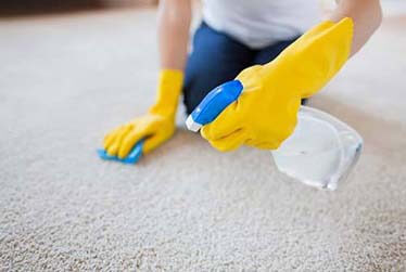 carpetcleaning